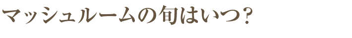 マッシュルームの旬はいつ？