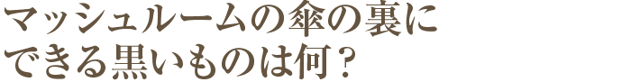 マッシュルームの傘の裏にできる黒いものは何？